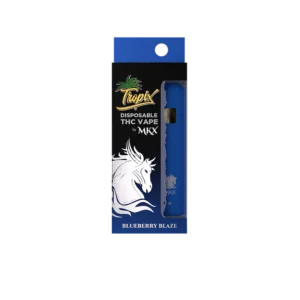 A slim, sleek, and discreet disposable vape pen, with a label showing the product name "Blueberry Blaze" and "1G THC" to denote its size and content.